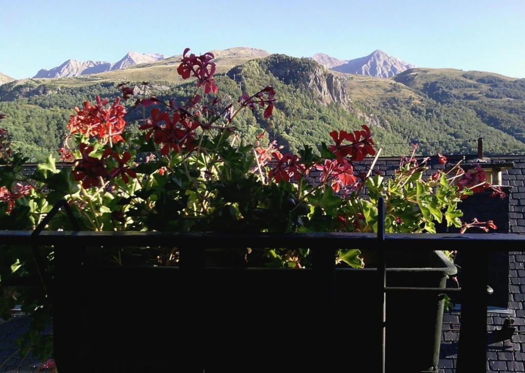 Pension Panticosa Extérieur photo